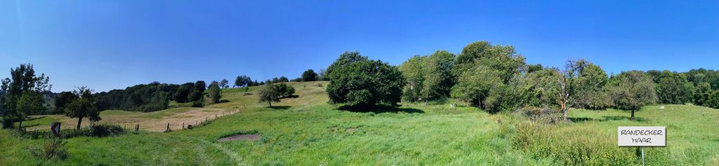 Panorama RandeckerMaar Blickle 1024x237